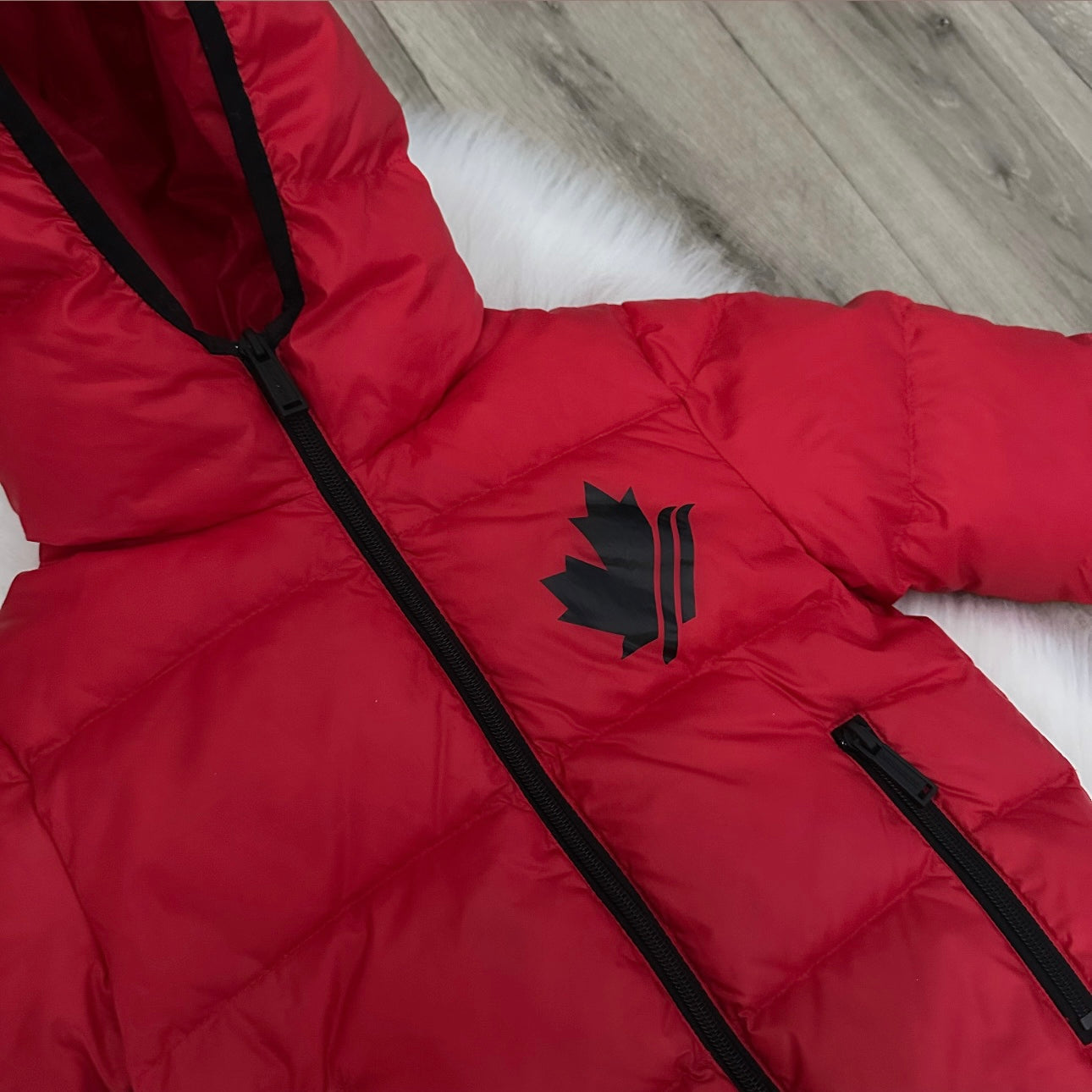 Dsquared2 Boys Coat - 24M