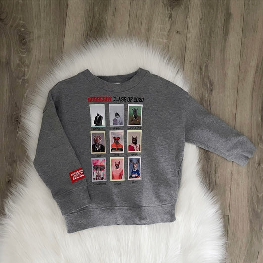 Burberry Boys Jumper - Age 4
